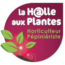 Halle aux Plantes